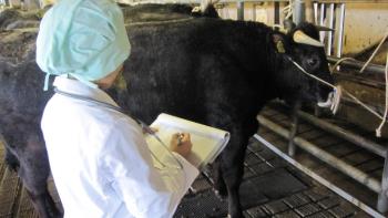 牛の生体検査