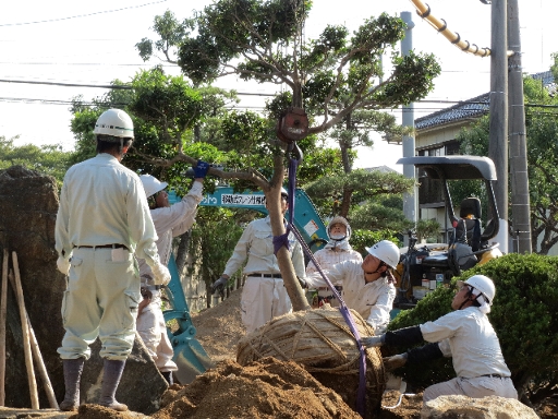 植栽の移動