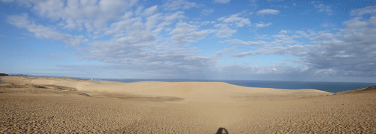 「馬の背」の風景－穏やかな陽気です