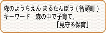 森のようちえんまるたんぼう紹介