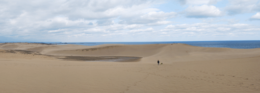 「馬の背」の風景