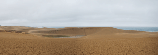 「馬の背」の風景