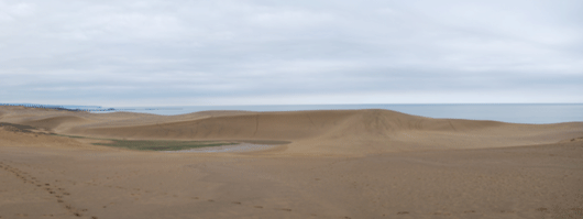 「馬の背」の風景