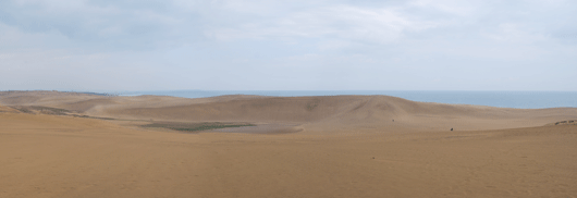 「馬の背」の風景