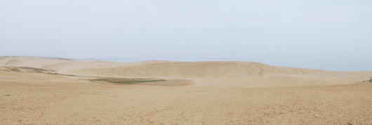 「馬の背」の風景－黄砂