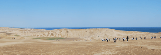 「馬の背」の風景