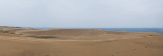 馬の背の風景