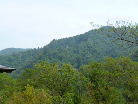 ウォーキングセンターから望む三徳山