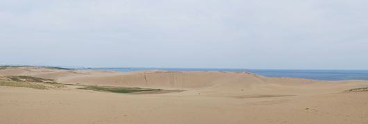 「馬の背」の風景－やや強めの風が心地よいです