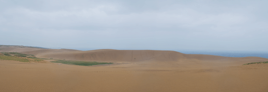「馬の背」の風景－雨に濡れた砂丘
