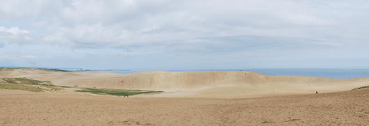 「馬の背」の風景－海からの風が心地良いです