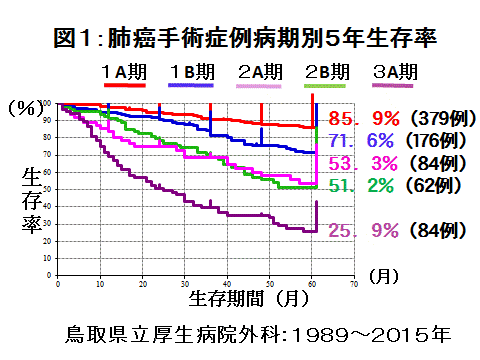 図１_グラフ