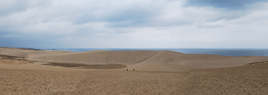 「馬の背」の風景－寒々しい景観