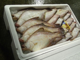 ソウハチ（えてがれい）