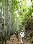 関金温泉と廃線跡コース