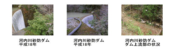 平成18年の河内川砂防ダムの写真