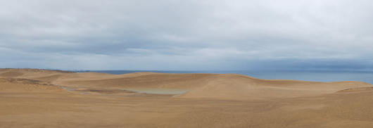 「馬の背」の風景－オアシス拡大