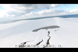雪の鳥取砂丘（動画リンク）