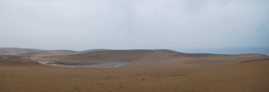 「馬の背」の風景－雨に濡れた砂丘