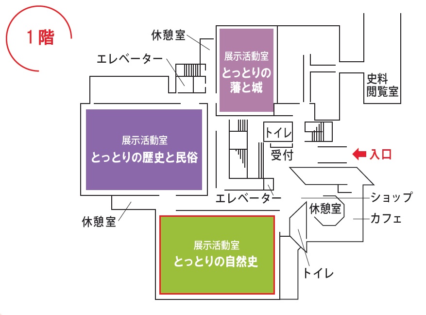 自然配置
