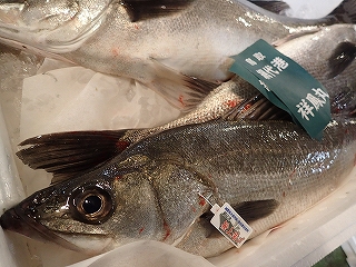 船上活〆スズキ