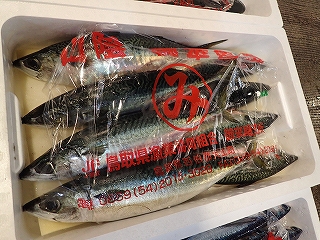 マサバ