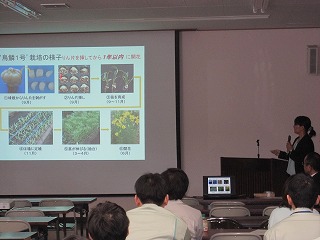 鳥鱗1号の紹介