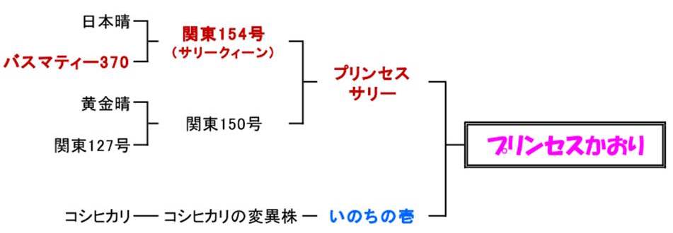 プリンセスかおり系統図