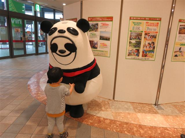 名誉ムラ人「むきぱんだ」