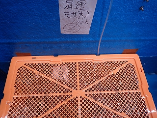 クロザコエビ（もさえび）のエビかご出荷