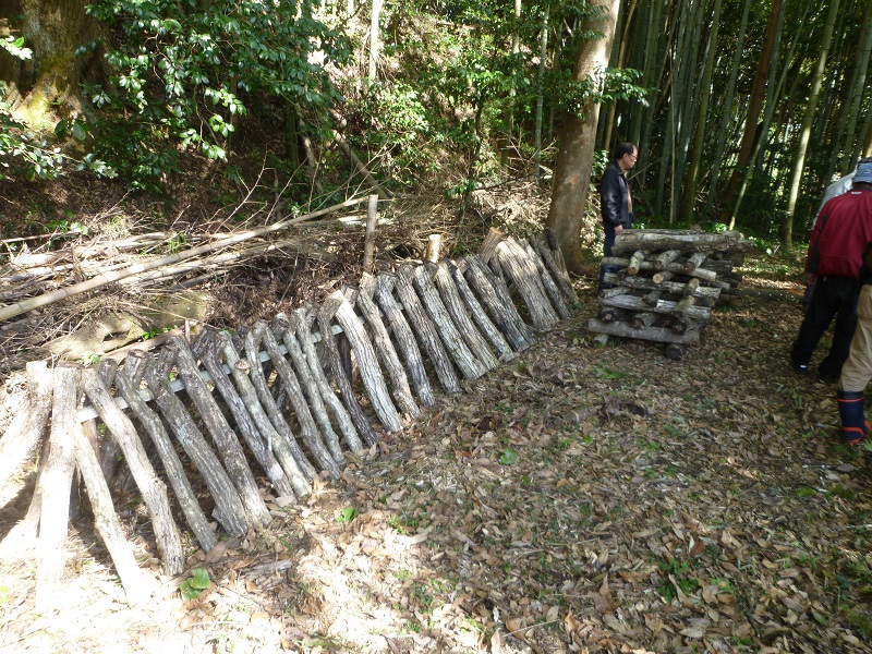 あいみ富有の里地区活動状況その4