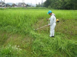 法面における草刈の様子