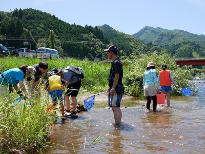 生き物採取２