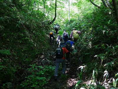 御墓山登山