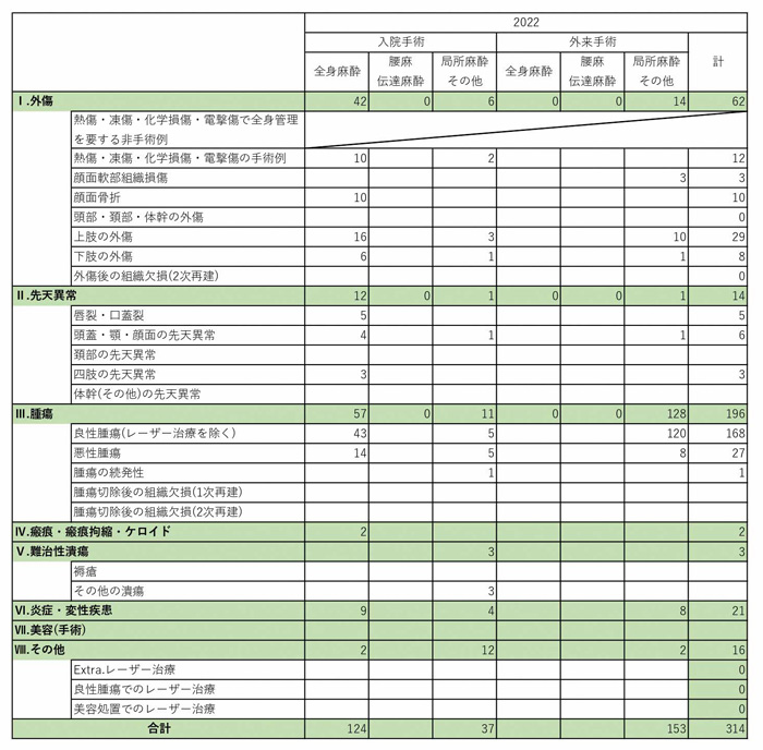 手術実績2022