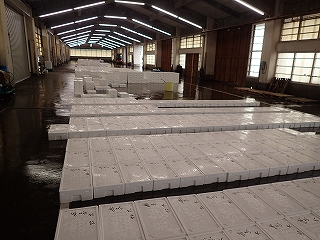 水揚げの様子@網代港地方卸売市場