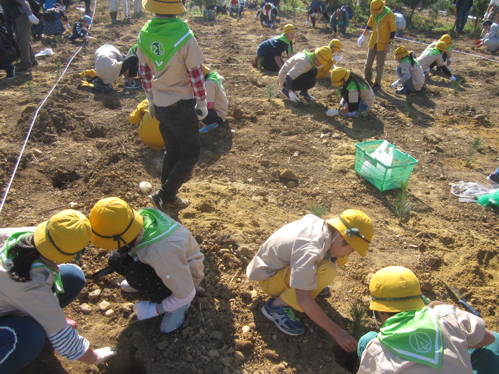 植樹活動（全体）