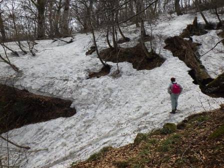 大山町境付近の残雪