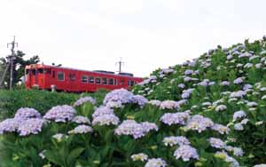 あじさい公園の側を走る列車の写真