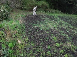 あさひあたり遺跡