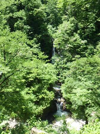 新緑の大山滝