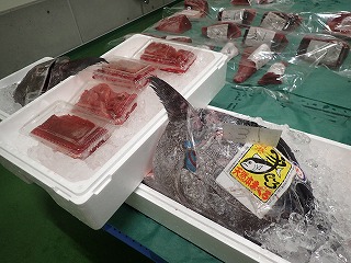 クロマグロの頭、中落
