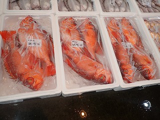 チカメキントキダイ