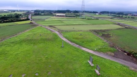 特別史跡斎尾廃寺跡現況