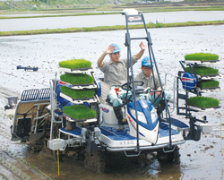 自動田植え機に乗る県立倉吉農業高校の生徒の写真