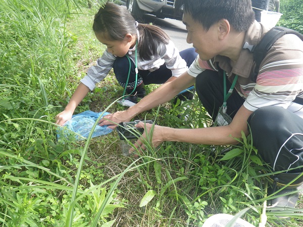 田んぼの自然観察