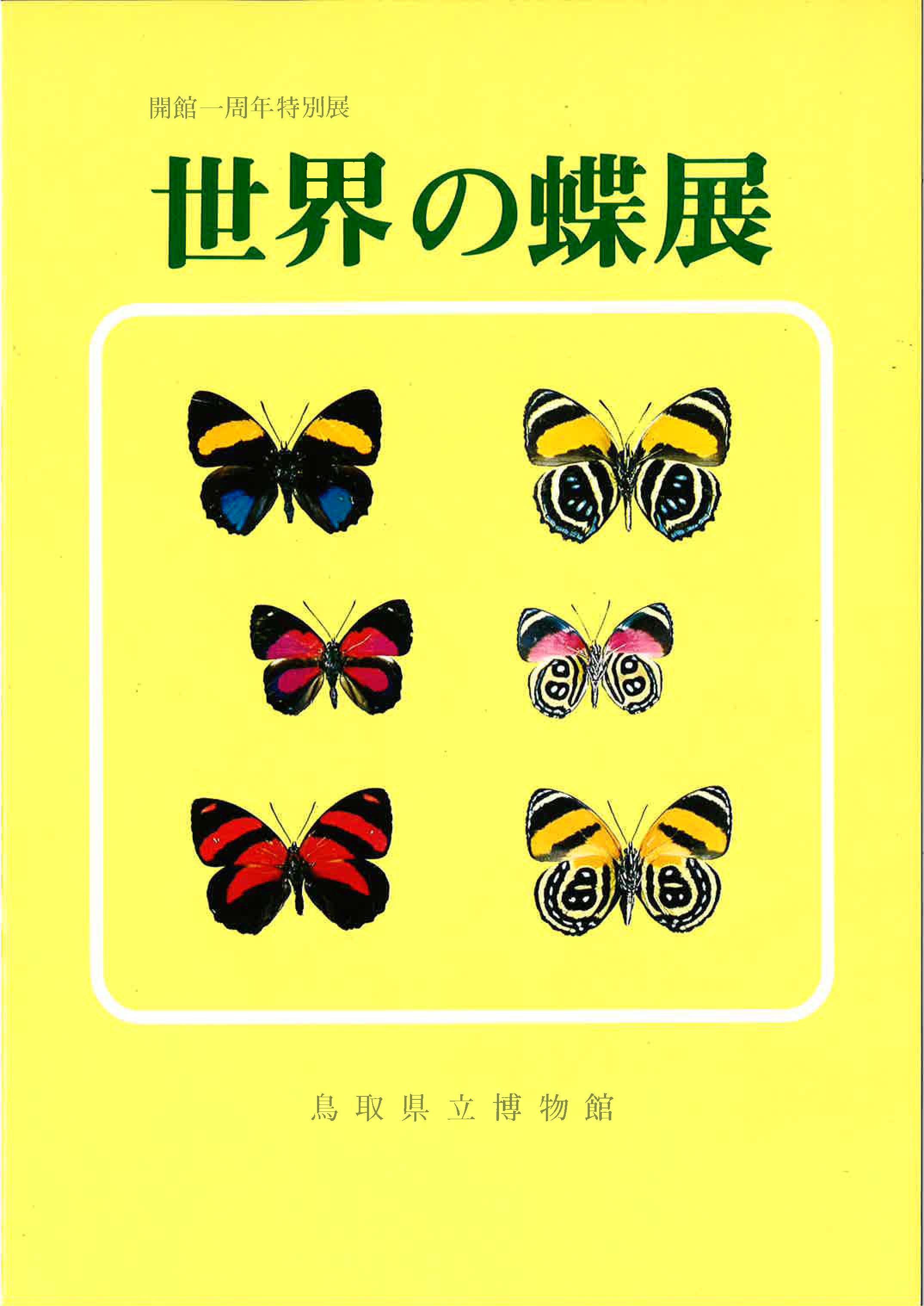 世界の蝶表紙