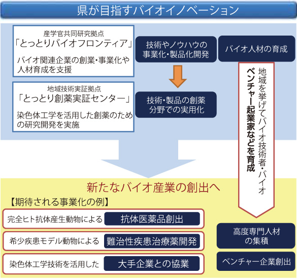 県が目指すバイオイノベーションの流れ図