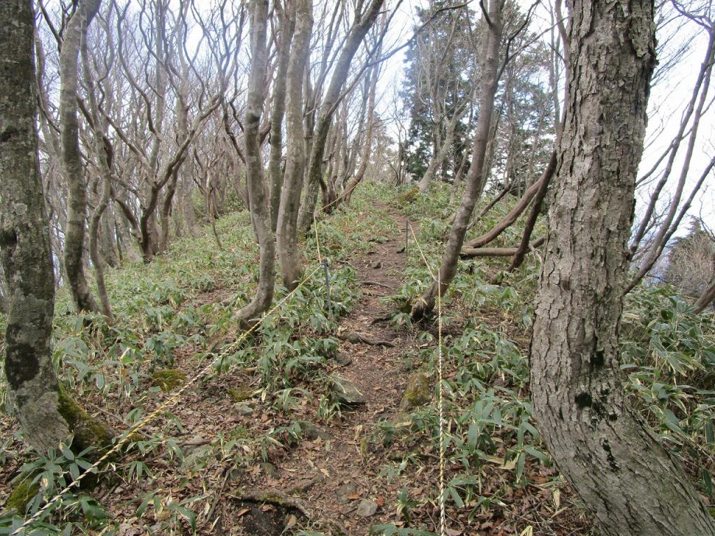 katakurihogo