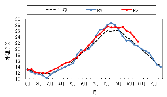 20231108水温